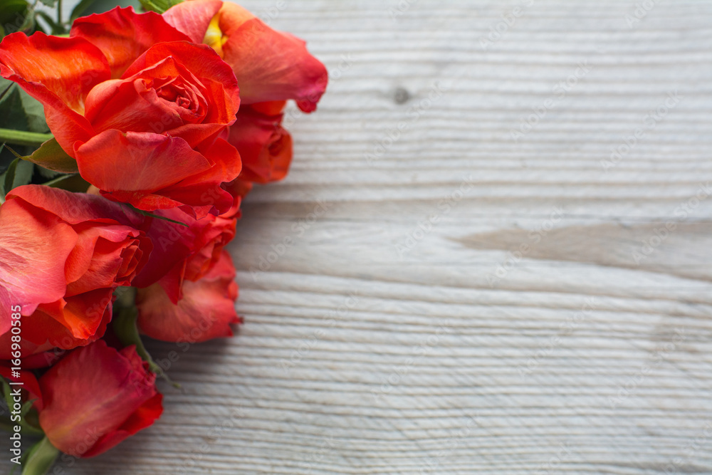 Several red fresh roses heads are on the wooden background Several red fresh roses heads are on the wooden background