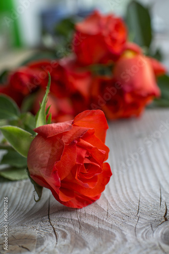 One red rose with a bouquet as background