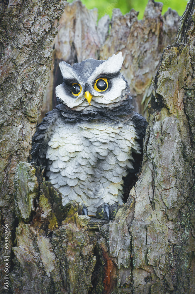 Obraz premium Toy owl in the tree