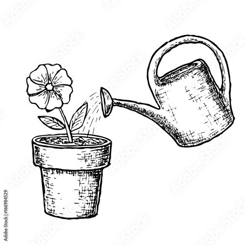 Potted flower and watering can. Gardening and farming sketch illustration. Vector