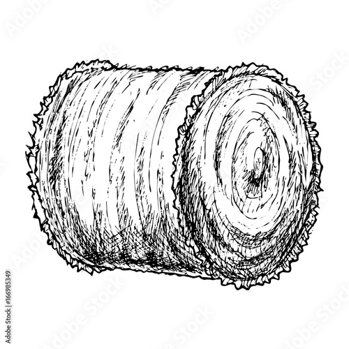 Roll of hay, sketch of agricultural farming hay. Vector