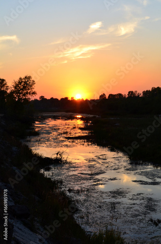 A river overgrown with grass and reeds at sunset