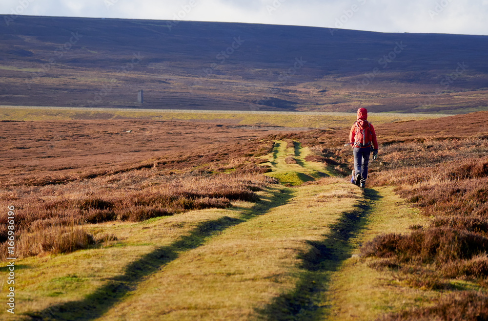 A hiker exploring the English Countryside, Muggleswick Common near Edmundbyers, England UK.