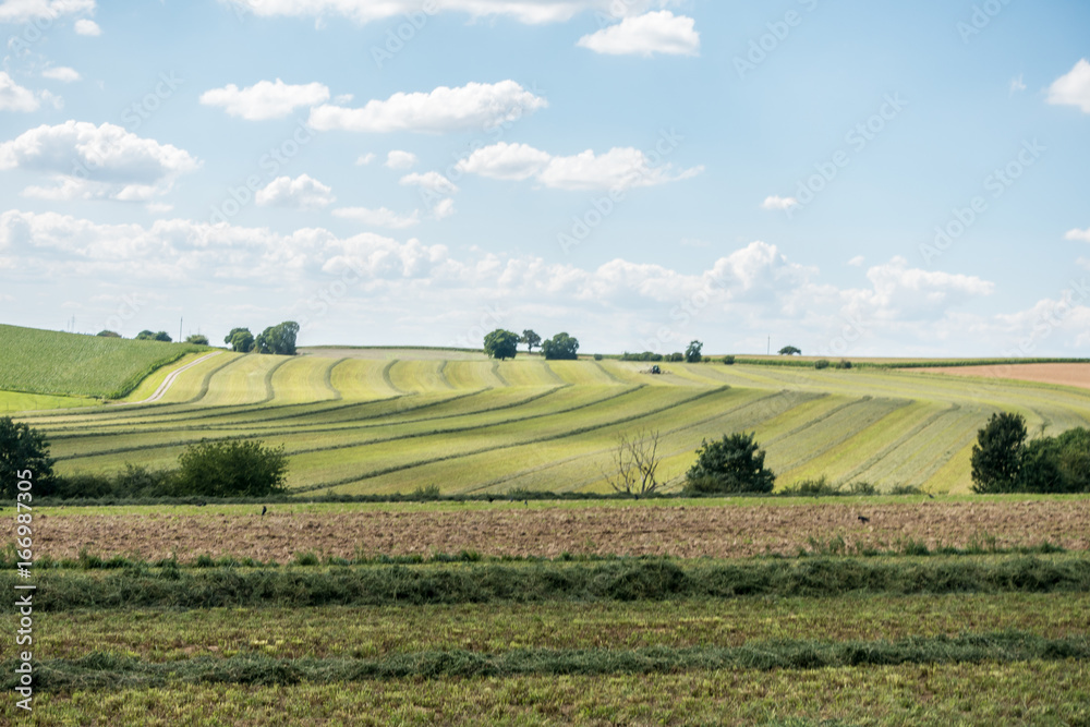 Frisch gemähte Wiese Frisch gemähte Wiese