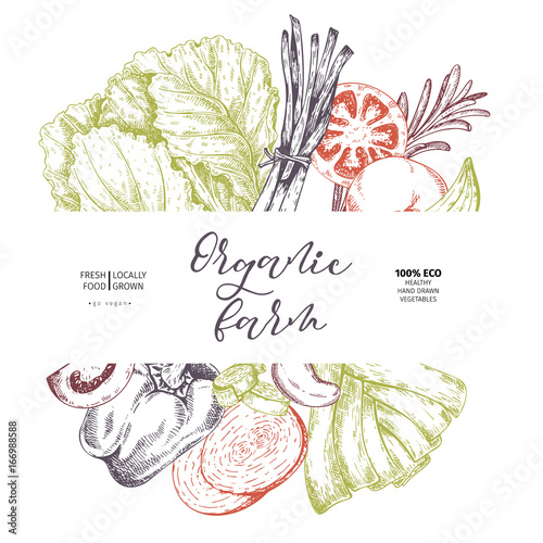 Vector hand drawn farm vegetables. Round border composition. Tomato, onion, cabbage, pepper, leek. Engraved art. Organic sketched vegetarian objects.