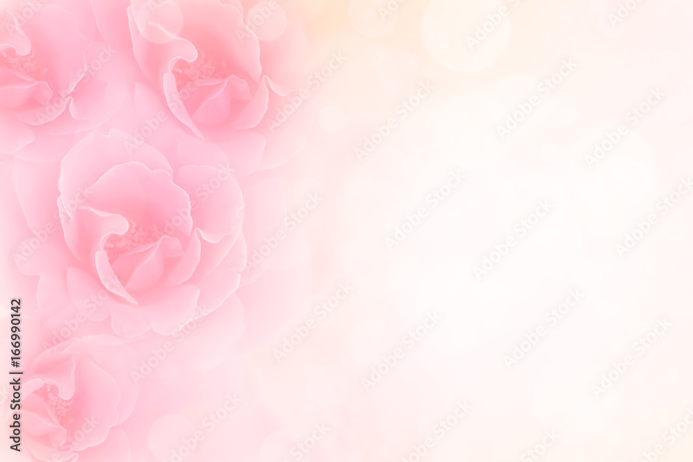 Fototapeta premium miękkie różowe róże kwiat tło z miejsca na kopię