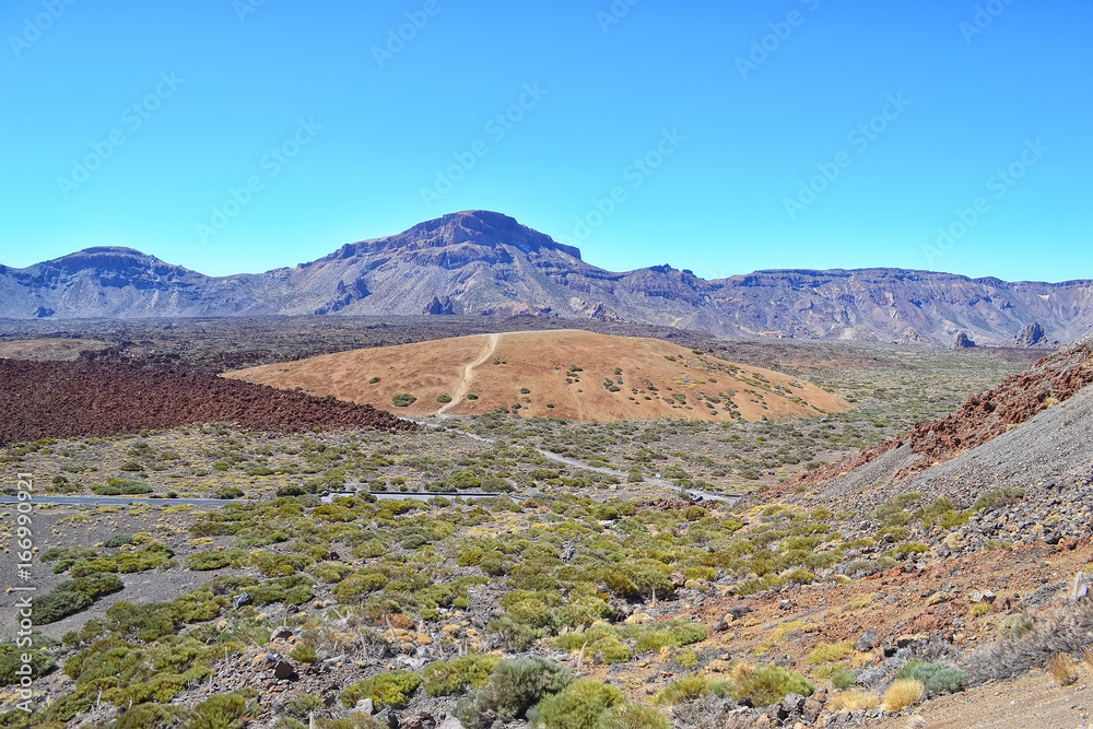 Obraz premium Volcano Teide. Tenerife island, Canary, Spain. Tourist on the trail to the mountain. Travel background