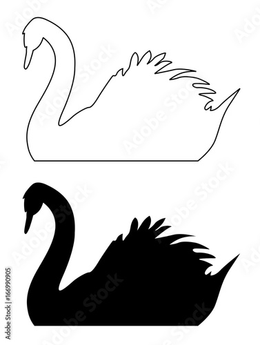 floating swan on a white background