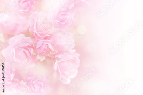soft pink roses flower vintage background with copy space 