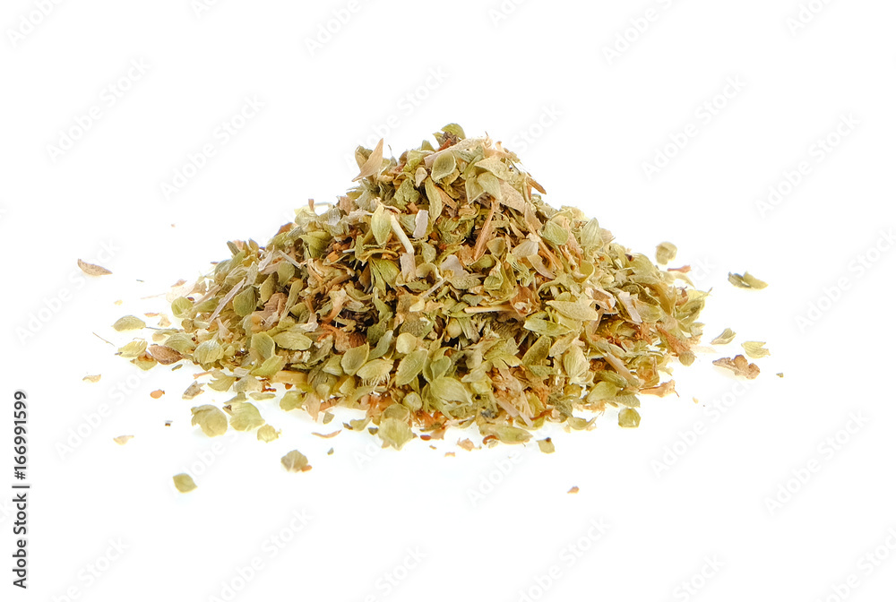 Oregano isolated on white background Oregano isolated on white background