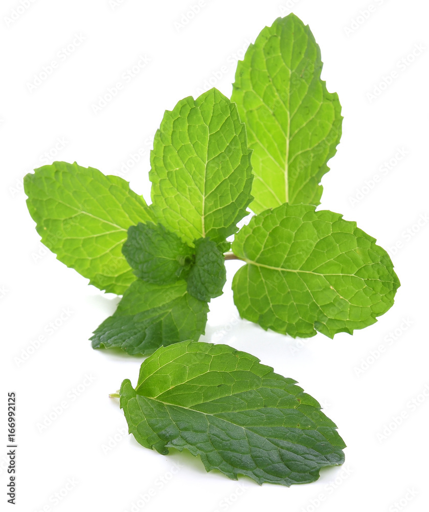 Fresh mint leaves isolated on white background Fresh mint leaves isolated on white background