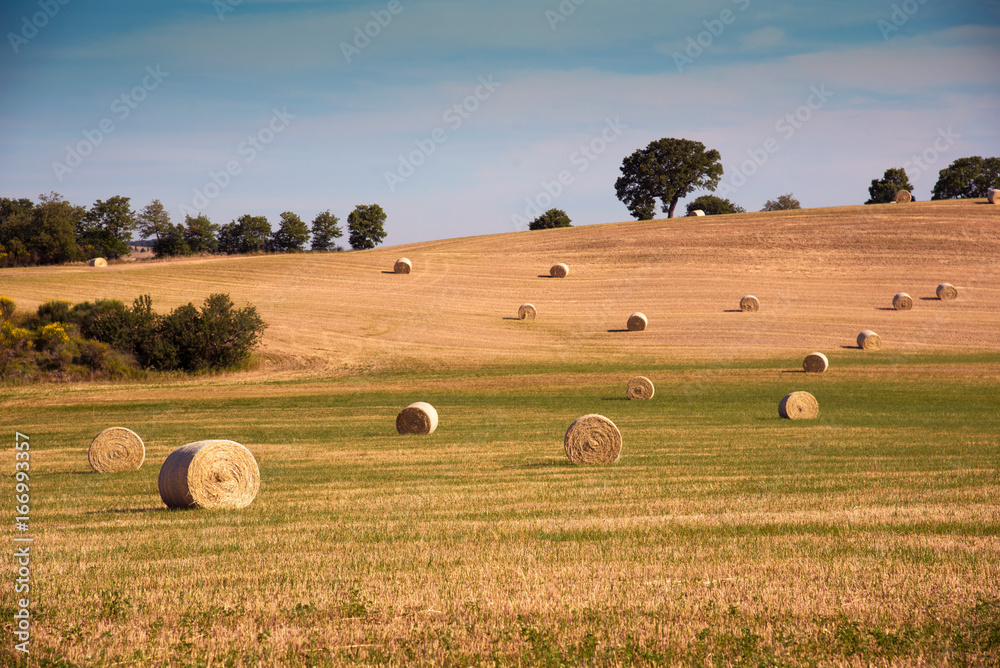 Magic is a charming incredibly beautiful harmonious landscape with twisted haystacks in the field. Tuscany, Italy (crop, welfare - concept)