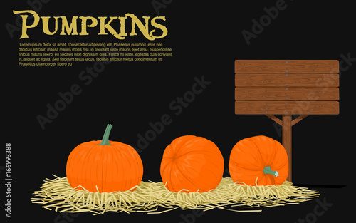 Pumpkins on straw with blank wooden signpost
