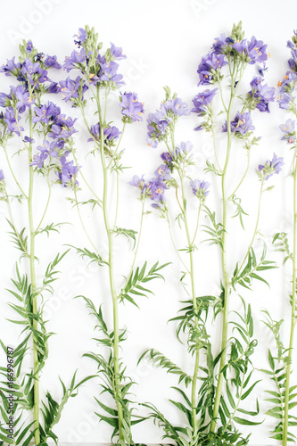 Floral pattern with bluebell flower  green leaves  branches on white background. Flat lay  top view. Valentine s background