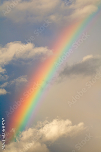 Beautiful rainbow after rain in the blue cloudy sky © Edalin