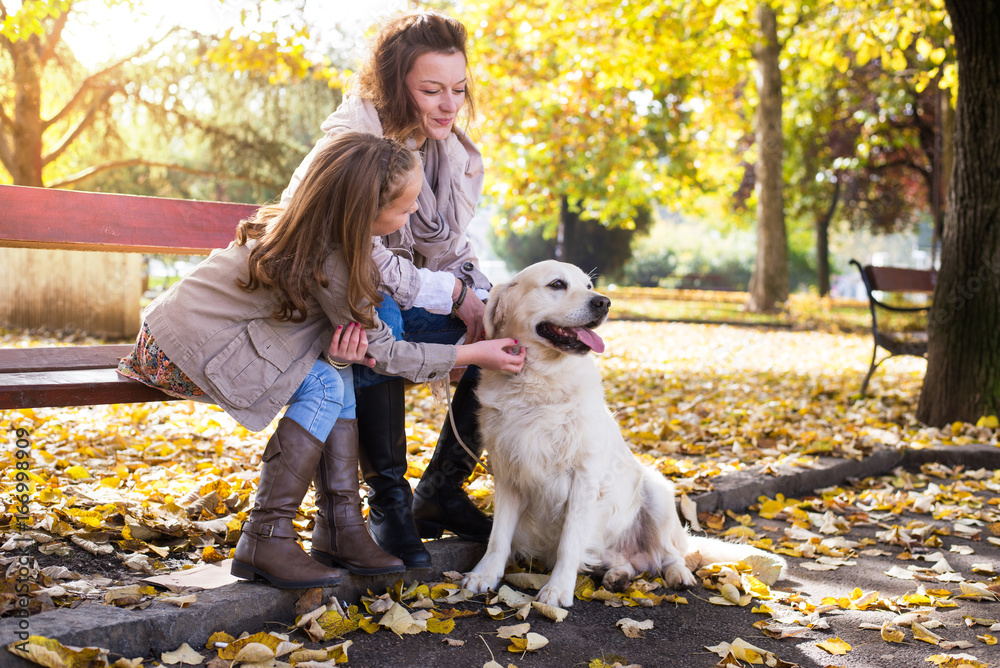 Family woman and her daughter walk autumn park,with his dog golden retriever