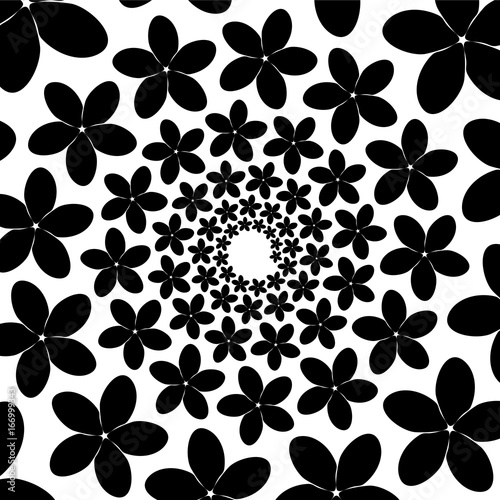 Background, pattern, black and white spiral pattern. Round centered Halftone illustration. Flower, petals, holiday, woman photo