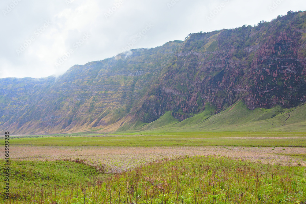 Obraz premium High brown steep cliff next to green grass field savannah with hills and a cloudy sky in the afternoon near mount Bromo, at the Tengger Semeru National Park in East Java, Indonesia.