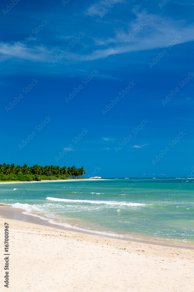 Obraz premium beach and tropical sea
