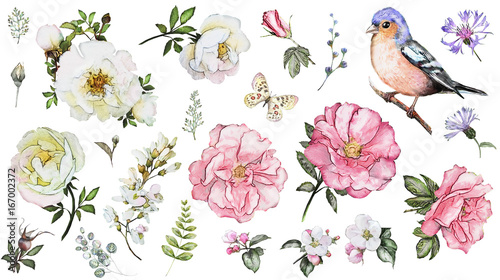 Canvas-taulu Set watercolor elements of flower rose, collection garden and wild flowers, leav