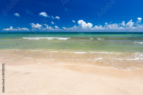 Fototapeta Naklejka Na Ścianę i Meble -  beach and tropical sea