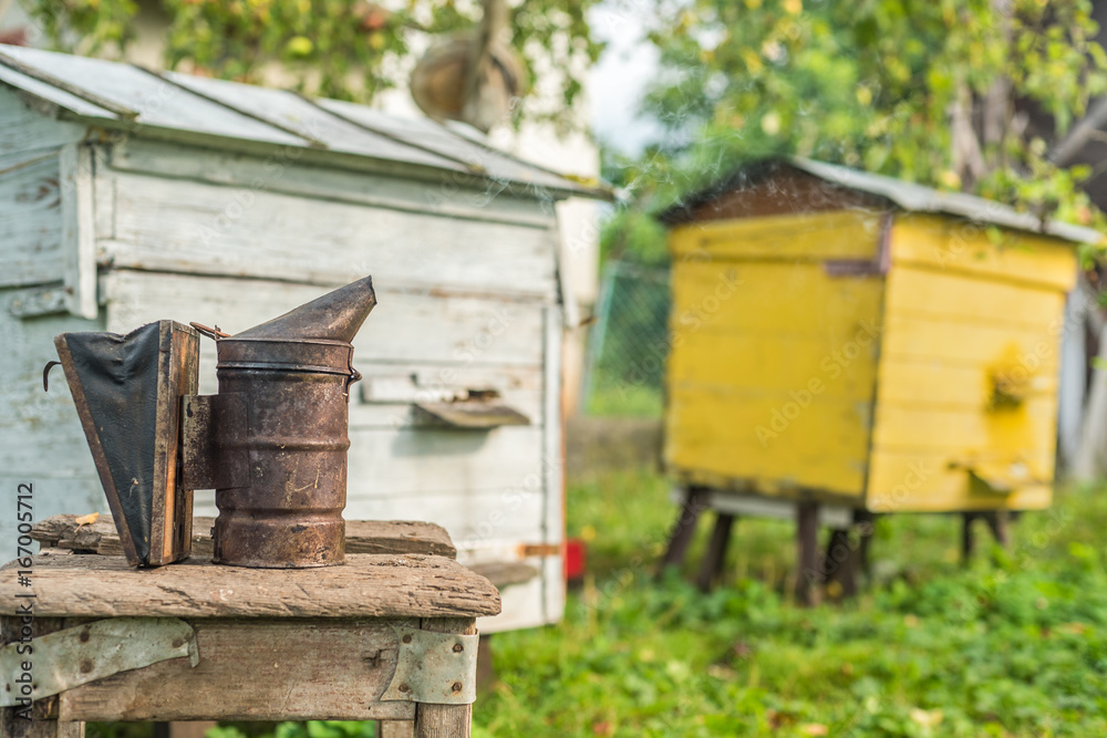 Beekeeping equipment - bee smoker, process of obtaining honey, own safety Beekeeping equipment - bee smoker, process of obtaining honey, own safety