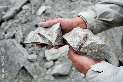 belemnite fossil in chalk rock quarry.