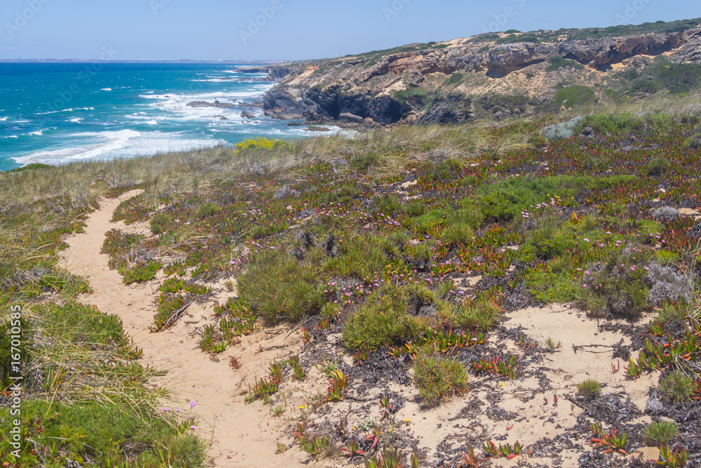 Fototapeta premium Trail in the Cliffs on the beach, Vila Nova de Milfontes