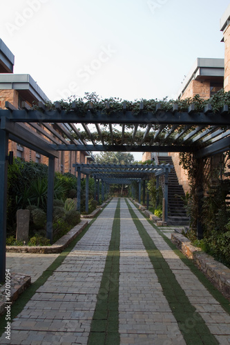 Walkway with landscaping in Gurgaon, Haryana (India). Vertical shot. photo