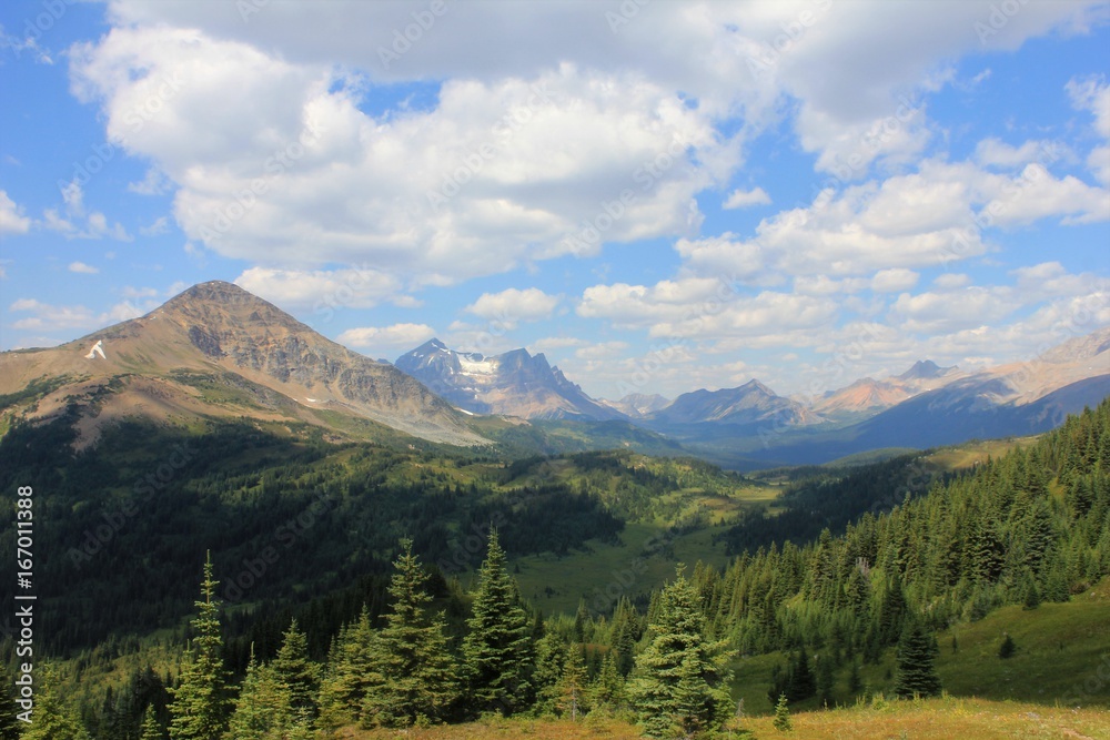 Fototapeta premium Elysium