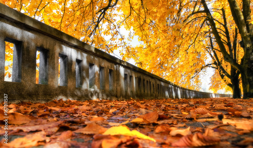 Colorful autumn park