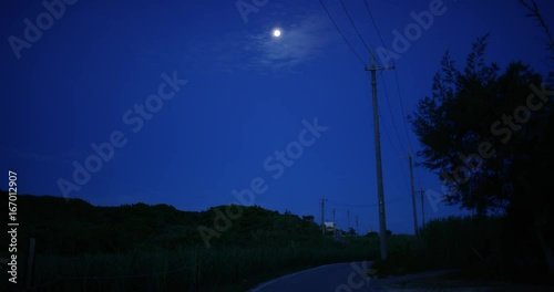 月夜の田舎道