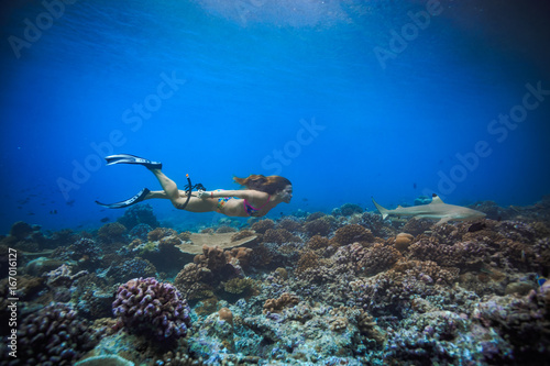 Female sport model swimming with blacktip reef shark over corals in Maldives. Deep blue water of Indian ocean. Marine background with fish