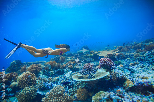 Female sport model swimming with blacktip reef shark over corals in Maldives. Deep blue water of Indian ocean. Marine background with fish photo