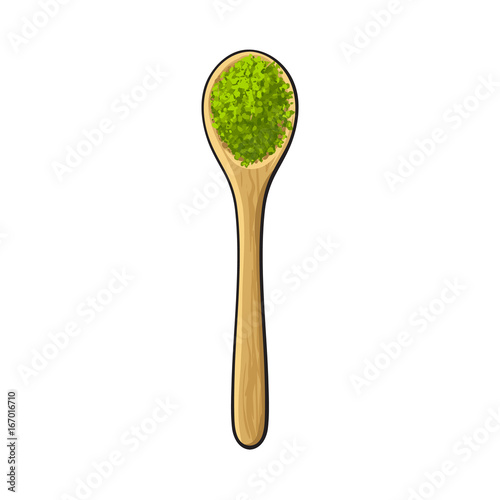 Top view drawing of bamboo, wooden spoon with matcha green tea powder, sketch style vector illustration isolated on white background. Realistic hand drawing of matcha green tea powder in wooden spoon