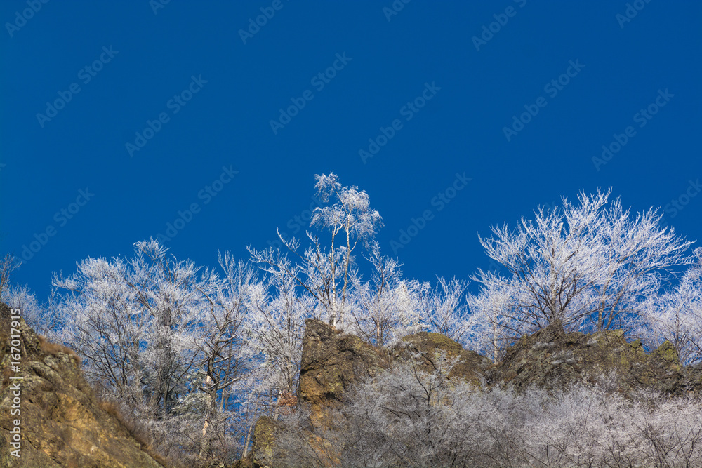winter mountain landscape. Romania. Carpathian Mountains winter mountain landscape. Romania. Carpathian Mountains