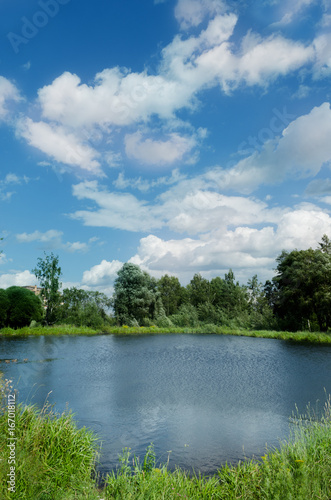 lake in forest