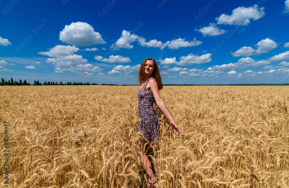 Beautiful young woman walking in golden wheat field with cloudy blue sky background, free space. Liberty, peace of mind concept. Girl in spikes of ripe wheat field under blue sky Beautiful young woman walking in golden wheat field with cloudy blue sky background, free space. Liberty, peace of mind concept. Girl in spikes of ripe wheat field under blue sky
