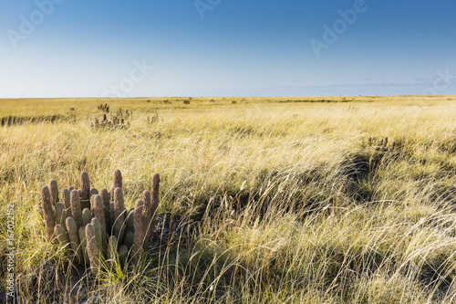 Lekhubu, Botswana photo