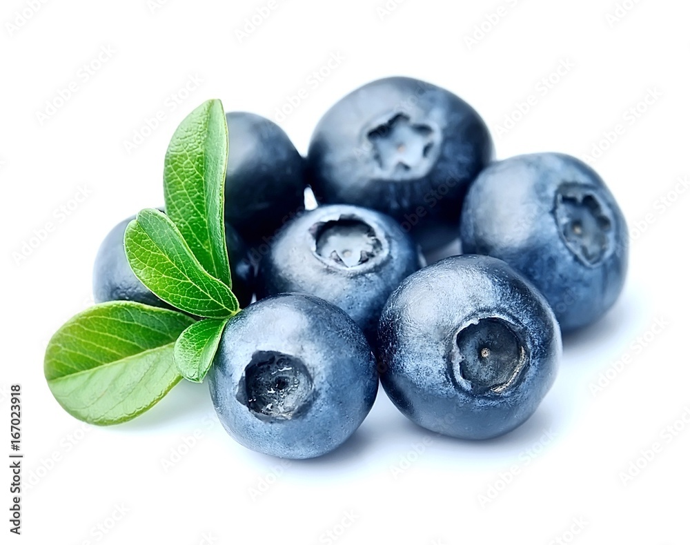 Blueberries with leaves close up . Blueberries with leaves close up .