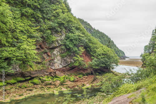 Valley in a lush northern wilderness landscape, river at low tide, rocks and vibrant seaweed exposed