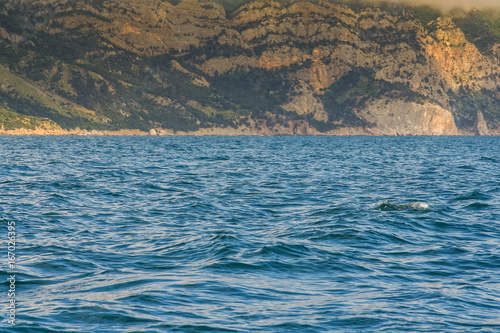 Rocky coast of the Black Sea