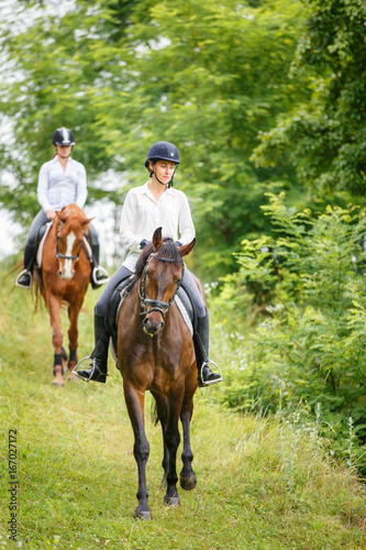 Two rider woman on horses going down from the hill. Equestrian summer activities background © skumer