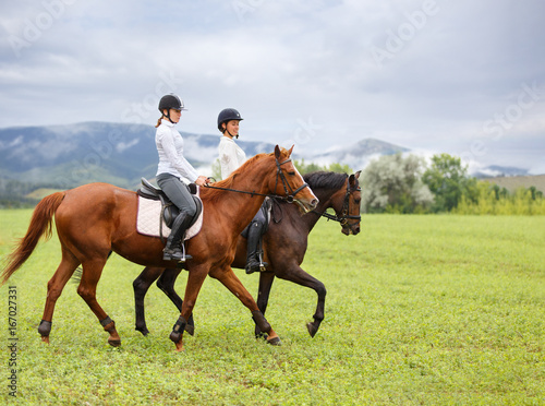 Two young women riding horses on green mountain meadow. Equestrian activity background