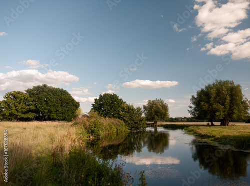 river stour running through dedham countryside with clear sky and lush trees on a summer's day