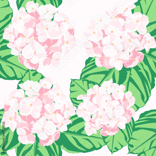 The hydrangea garden in the spring.Pink flower is vector for seamless pattern and background.