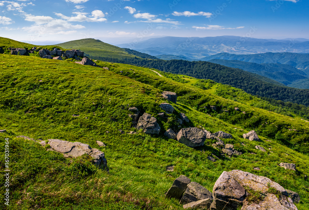Fototapeta premium steep grassy meadow on hillside in mountains