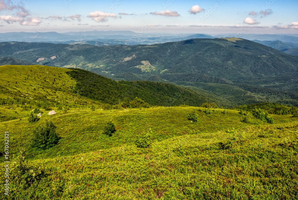 Fototapeta premium grassy hillside of Carpathian mountain range