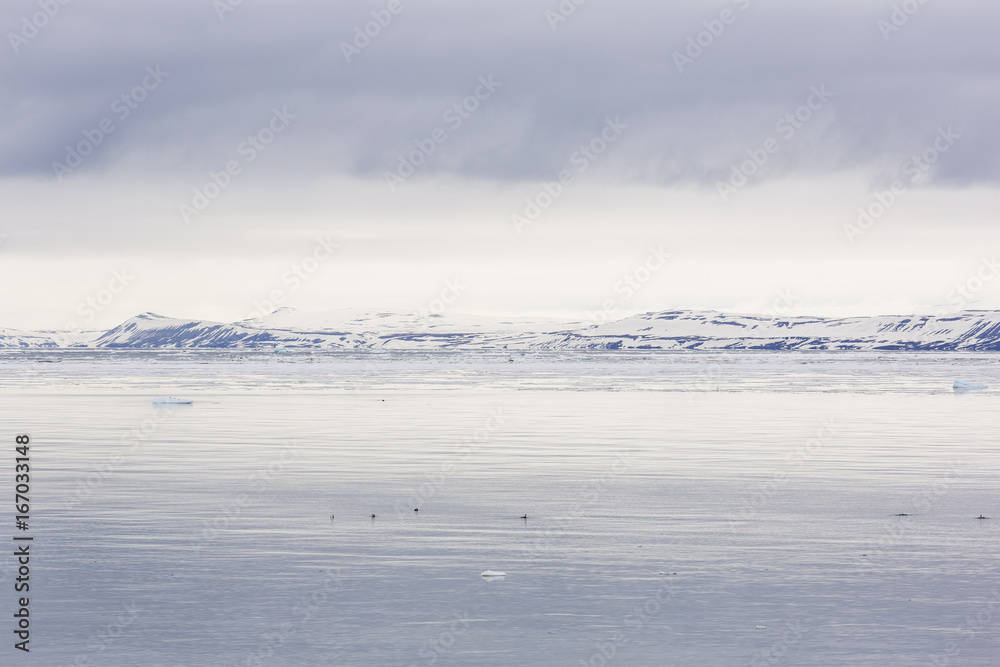 Sea bay with a glacier and icebergs in Svalbard, Spitsbergen, Norway