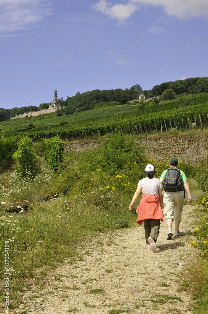 wanderer auf dem weg durch weinberge zum niederwalddenkmal bei rüdesheim am rhein